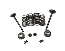 Delta/Alpha/Active 70-110cc Клапана у зборі + сальники клапанів (215134)
