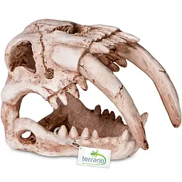 Декорація череп тигра Terrario Sabertooth Skull 13x8,5x11см (15911) - мініатюра 8