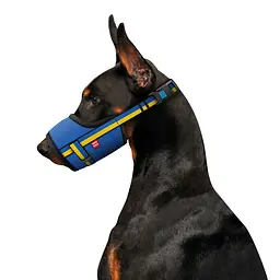 Намордник для собак WAUDOG Nylon, малюнок "Colors of freedom", пластиковий фастекс, розмір L, О 25-34 см - мініатюра 3