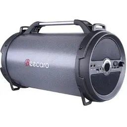 Колонка портативна Beecaro RX28D LED