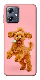 TPU чохол Demsky Happy poodle для Motorola Moto G54