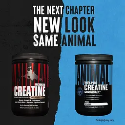 Креатин моногідрат Universal Nutrition Animal Micronized Creatine, 500 грам - мініатюра 2