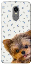 TPU чохол Demsky Cute Yorkie для Xiaomi Redmi 5 Plus / Redmi Note 5 (Single Camera)