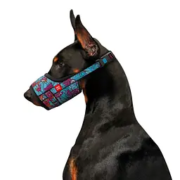 Намордник для собак Waudog Nylon Літо, пластиковий фастекс №4 (35-43 см) (5373) - мініатюра 3