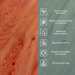 Вологопоглинаючий килимок 40x60CMx3MM (D) SW-00002558 - мініатюра 4
