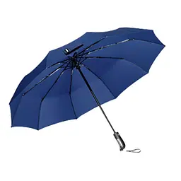 Парасолька Xiaomi Zuodu Automatic Umbrella (ZD001) Blue [68845]
