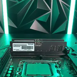 Модуль пам`яті DDR5 2x8GB/5600 Patriot Signature Line (PSD516G5600K) - мініатюра 4
