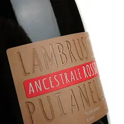 Вино ігристе Puianello Ancestrale Lambrusco dell'Emilia IGP Organic червоне сухе 0.75 л - мініатюра 3