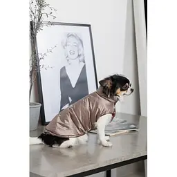 Жилет Pet Fashion Hardy для собак розмір M2 - мініатюра 6