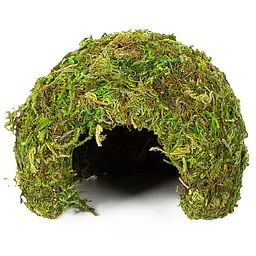 Схованка з моху Repti-Zoo Natural Mossy Dome S 11x10см ERS25S для тераріуму, рептилій і геконів, з живим мохом - мініатюра 3