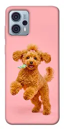TPU чохол Demsky Happy poodle для Motorola Moto G23
