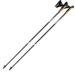 Палиці для скандинавської ходьби Gabel X-5 Black 110 (7009351131100) (DAS302772)