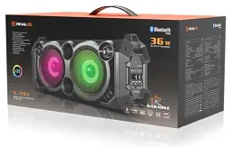 Колонка портативна 2.0 REAL-EL X-751 Black, 2 x 18 Вт, пластиковий корпус, Bluetooth, MicroSD / USB, живлення від акумулятора, 4000 мА * год, керування збоку - мініатюра 6