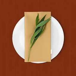 Скатертина Cosas Cinnamon водовідштовхувальна 100х100 см кольору кориці (Cloth_46Cinnamon_DUK_100x100) - мініатюра 5