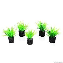 Штучна рослина, набір Hobby Eleocharis mini 1,5x1,5x3см 5 шт. (51548) - мініатюра 2