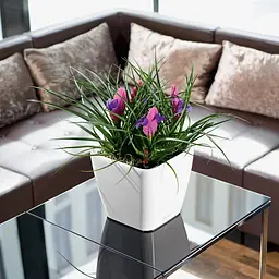 Вазон Lechuza Quadro Premium LS, 4 л, білий (16120) - мініатюра 7