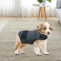 Заспокійливий жилет для собак WanTalk Dog Anxiety Jacket, Dark Grey - мініатюра 2
