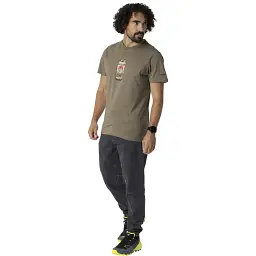 Футболка Dynafit Graphic Cotton