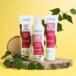 БІО-Кондиціонер Glossy Shine для блиску волосся з Протеїновим комплексом та Березовим листям SANTE 150 мл - мініатюра 2