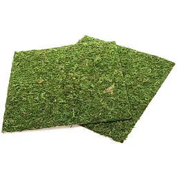 Фон з натурального моху Repti-Zoo Natural Moss Back & Bottom 30x30см 2 шт (NCM3030) для тераріуму - мініатюра 3