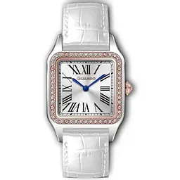 Жіночий годинник Guardo 012832-8
