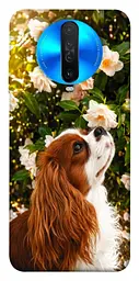 TPU чохол Demsky Flower spaniel для Xiaomi Redmi K30