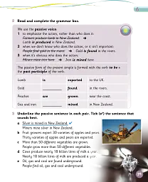 Grammar Goals. Level 5. Pupil's Book Pack - мініатюра 4