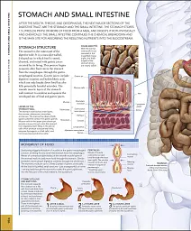 The Human Body Book - мініатюра 10