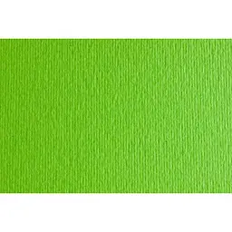 Папір для дизайну Fabriano Elle Erre В2 (50x70см) №10 verde picello 220г/м2 салатовий