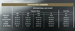 Комплект білизни Penthouse Lingerie Hypnotic Power S-L білий - мініатюра 4