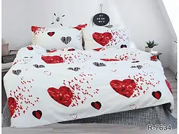 Комплект постільної білизни з компаньйоном (R7634) 1,5-спальний TAG tekstil pbe0036743 - мініатюра 2