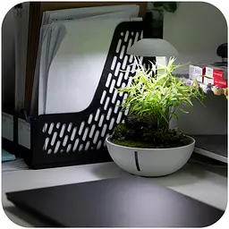 Мінітераріум Chihiros Tiny Terrarium Egg з LED-підсвіткою та керуванням через застосунок - мініатюра 4