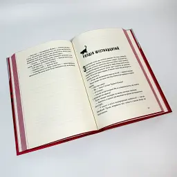 Міст душ - Вікторія Шваб | Nebo Booklab Publishing, книга українською, нова, тверда - мініатюра 4
