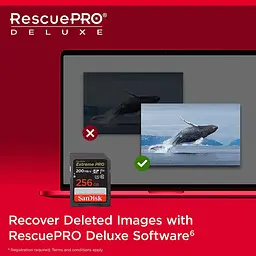 Карта пам'яті Sandisk 256GB SD C10 UHS-I U3 R200/W140MB/s Extreme Pro V30 (SDSDXXD-256G-GN4IN) - мініатюра 4