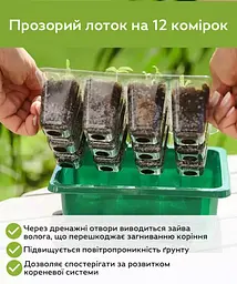 Стартовий набір для рослин зі світлодіодною лампою для росту. 5 лотків по 12 комірок - мініатюра 11