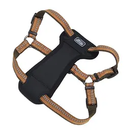 Шлея з нагрудником Coastal K9 Explorer Harness 20.4-45.3 кг світловідбивна для собак (36946_COG38)