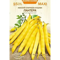 Насіння квасолі Насіння України кущова пантера 30 г (171310)