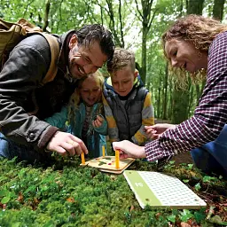 Прес для квітів Hape Nature Fun Гербарій з фарбами (E5574) - мініатюра 9