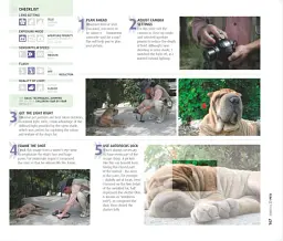 How to Photograph Absolutely Everything - Том Енг - мініатюра 7