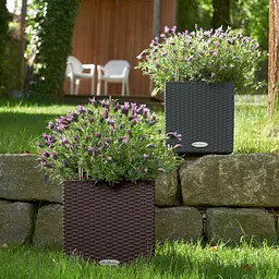 Вазон Lechuza Cottage Cube, 12 л, мокко (15375) - мініатюра 6