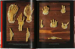 Anatomical Waxes. 45th Edition - мініатюра 10