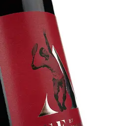 Вино Stakhovsky Wines Каберне Асе, червоне, сухе, 13,5%, 0,75 л (W3465) - мініатюра 3