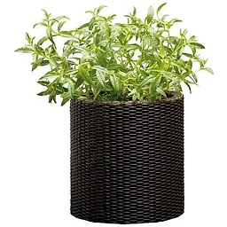 Горщик для квітів Keter 7 л Cylinder Planter Small коричневий
