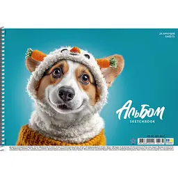 Альбом для малювання Star спiраль 20 арк. 100 г/м2 ВД лак в асортименті (PB-SC-020-8567)