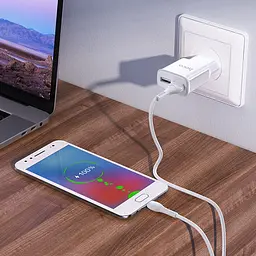 МЗП Hoco C88A Star round 2.4A (2USB-A) + кабель USB to MicroUSB Білий - мініатюра 4