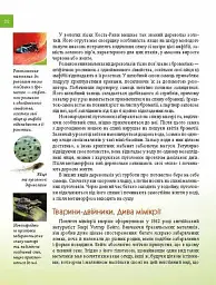 Тварини - майстри маскування. Енциклопедія для допитливих - Андрій Гапченко - мініатюра 6