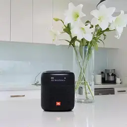 Акустична система JBL Tuner XL Black (JBLTUNERXLBLKEU) - мініатюра 8