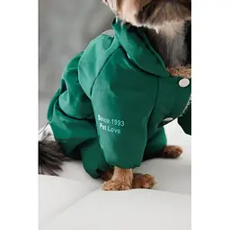 Комбінезон Pet Fashion EGO ХS2 зелений для собак - мініатюра 5