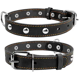 Нашийник Collar одинарний з прикрасами, 38-50х2,5 см, чорний