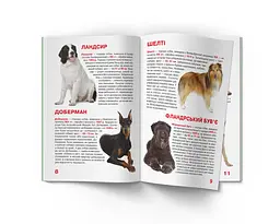 Велика книга Кристал Бук Службові собаки (F00014405) - мініатюра 4